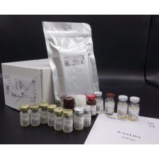 IL6 Elisa Kit