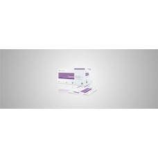 Typhoid IGG/IGM Rapid test