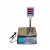 3 display piece counting scale normal