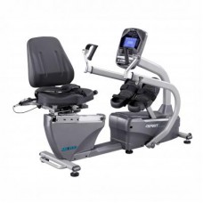 Recumbent Total Body Stepper