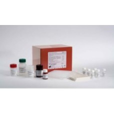 Elisa Kits