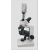 Trinocular Microscope