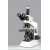 Binocular Observation Head