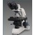Binocular Observation Head