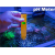 PH Meter