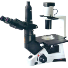 Magnus Inverted Tissue Culture Trinocular Microscope