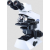 Olympus CX21i Binocular Microscope