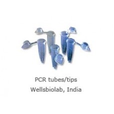 PCR Tubes Tips