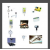 Inspection Equipment