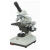 Compound Microscope