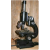 Compound Microscope