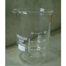 100 Ml Glass Beakers