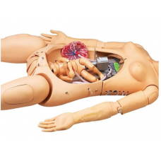Advanced Delivery and Maternal Simulator