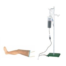 Advanced Intravenous Transfusion Leg Model