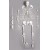 Deluxe Human Disarticulated Skeleton Model