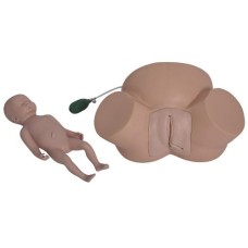 Difficult Childbirth Model