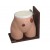 Ostomy Nursing Model