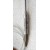 Master RTD Temperature Sensor