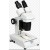 Stereoscopic Dissection Microscope