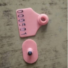 Cattle Ear Tag With Number