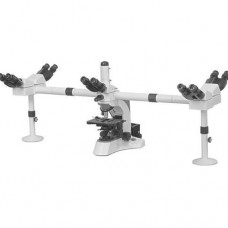 Penta Head Microscope