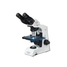 Binocular Microscope