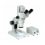 Binocular Stereoscopic Microscopes