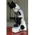 Coaxial Binocular Microscope