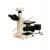 Digital Microscope