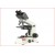 Biological Microscope (CH20i)