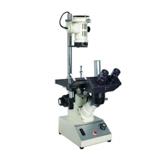 Tissue Culture Microscope