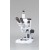 Zoom Microscope