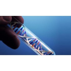 DNA/RNA EXTRACTION
