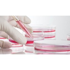 LABORATORY GLASSWARE