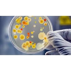 LABORATORY PLASTICWARE