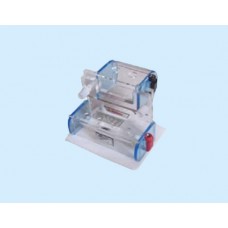 Vertical Gel Electrophoresis