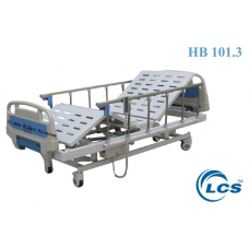 Five Functional Electric Bed HB-101.3