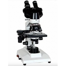 Research Binocular Microscope