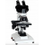 Research Binocular Microscope