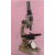 Student Microscope (Single Nose)