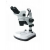 Zoom Stereo Microscope