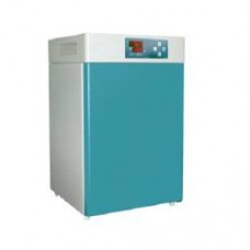 Incubator 
