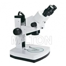 Stereo Microscope