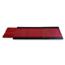 Shoe Sanitizing Device