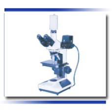 Upright Microscopes