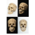 Human Skull Models