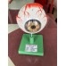 Human Eye Model
