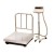 Digital Platform Weighing Scale