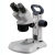 Dissecting Microscope