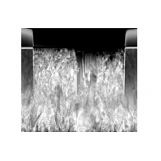 Forward Scatter Detector